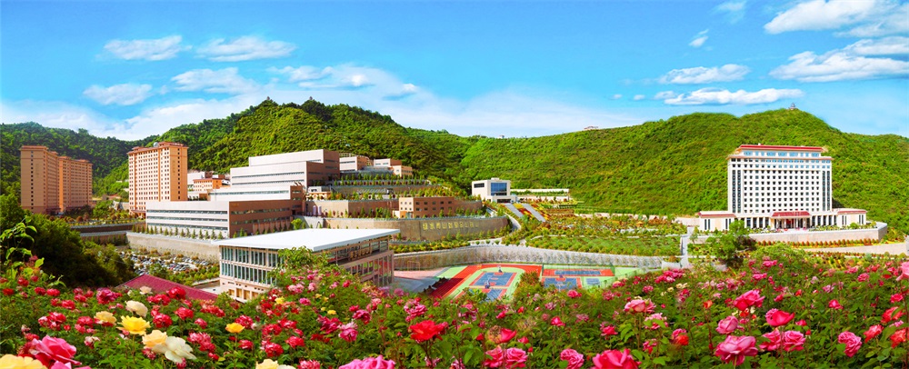 三季有花、四季常青的金徽股份.jpg